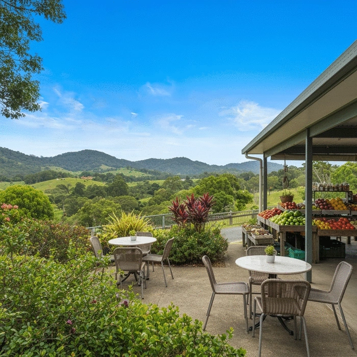 best practical tips for living in Mareeba